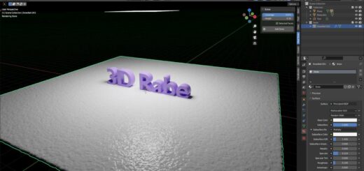 Das Erstellen von 3D-Modellen: Software für Anfänger! 3 Real Snow 100 Prozent